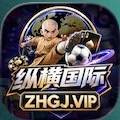 纵横国际